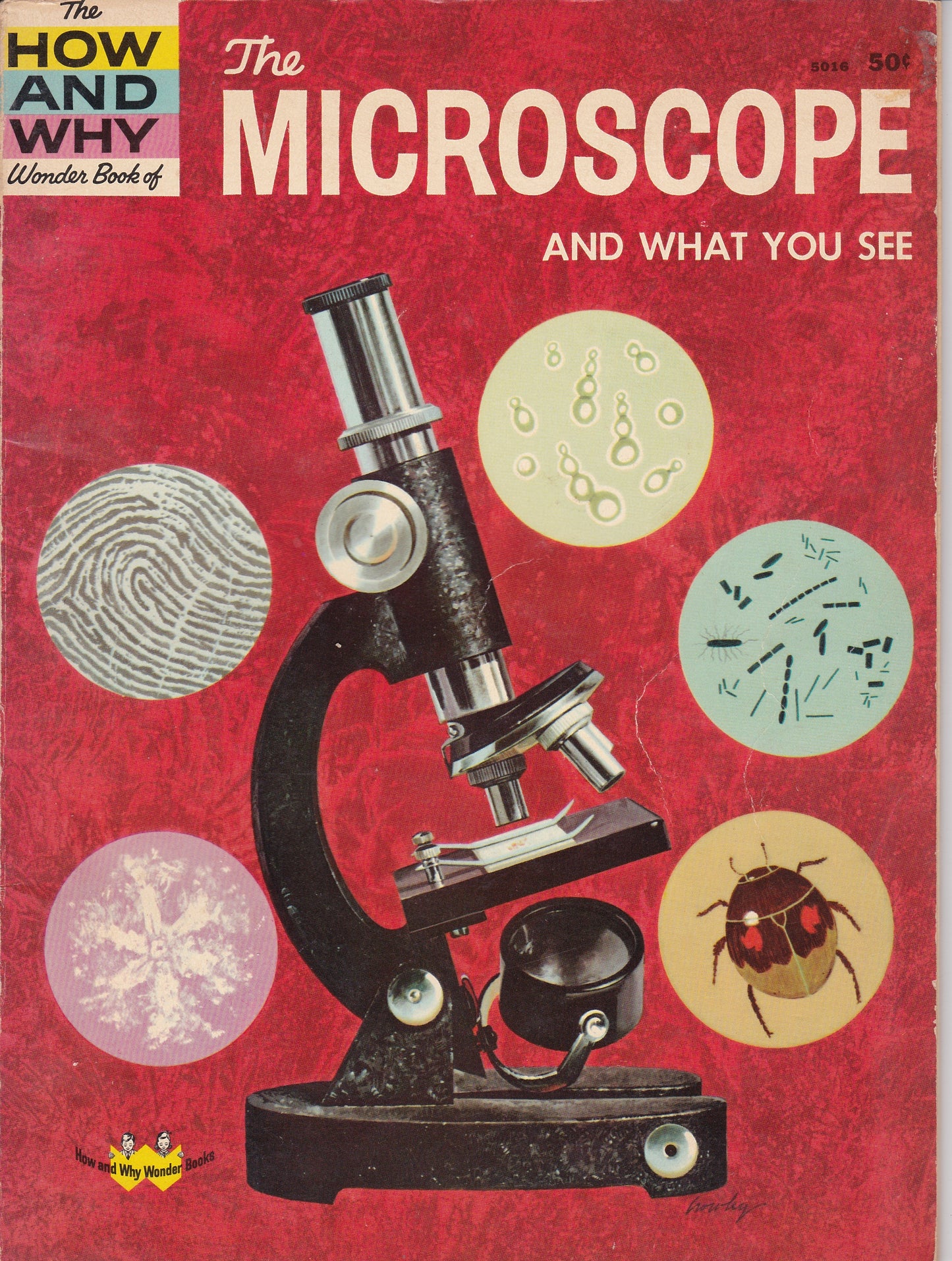 The Microscope and What You See: The How and Why Wonder Book (1961 Edition)