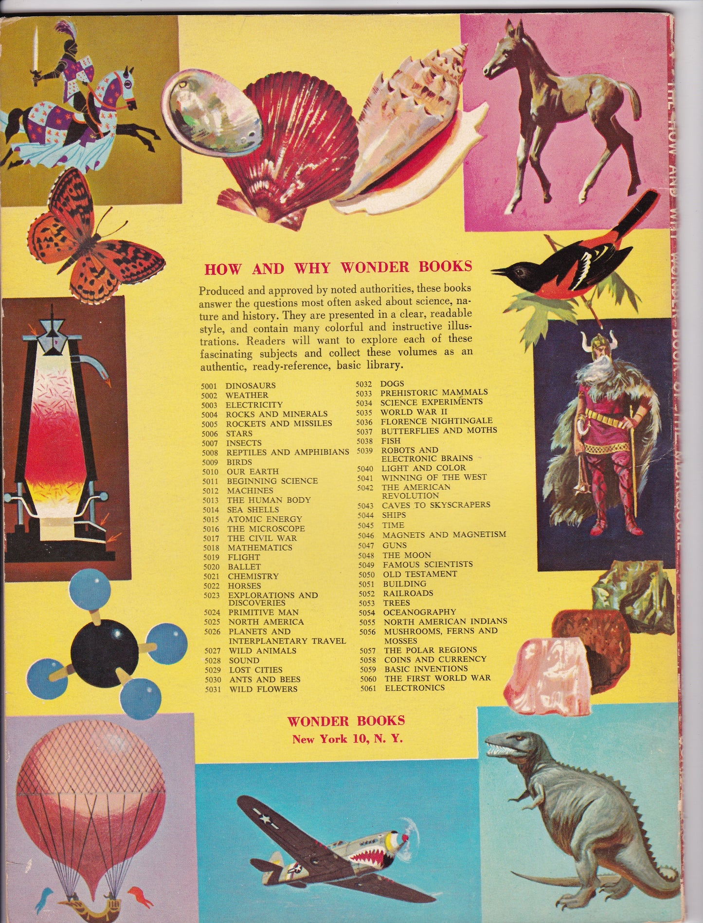 Sea Shells: The How and Why Wonder Book (1961 Edition, 1974 Printing)