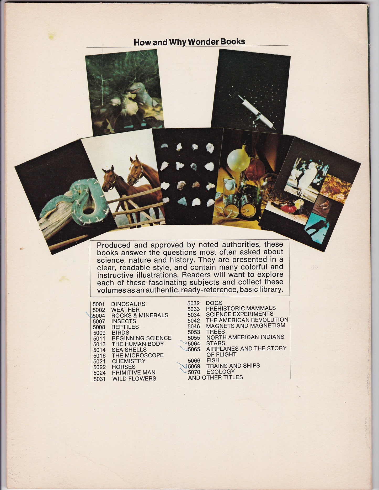 The How and Why Wonder Book of Airplanes and the Story of Flight (1974 Printing)