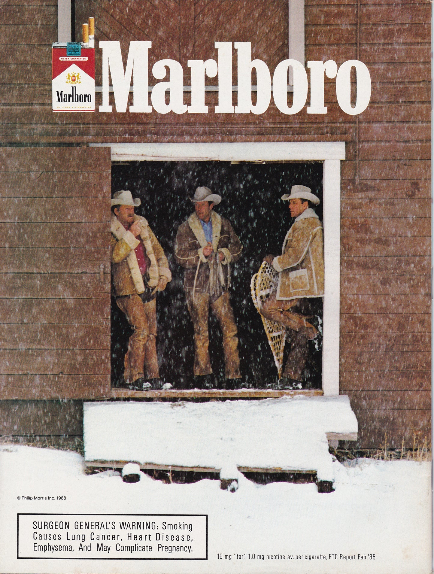 Sports Illustrated - February 20, 1989