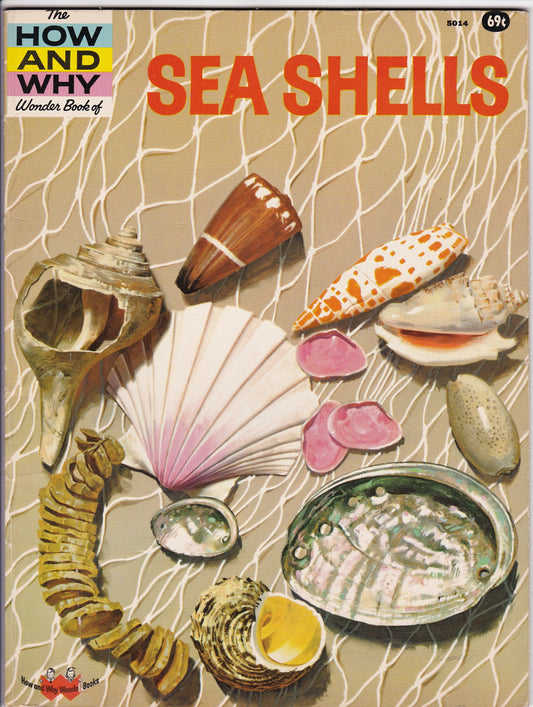 Sea Shells: The How and Why Wonder Book (1961 Edition, 1974 Printing)