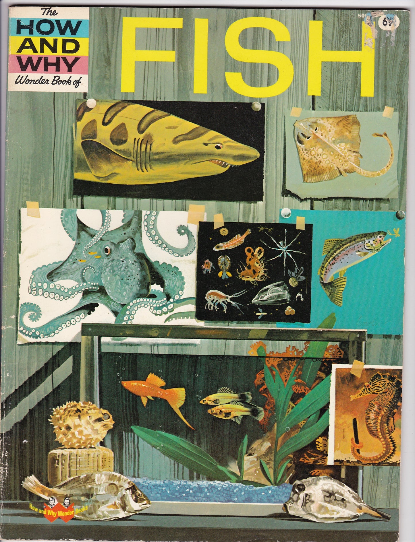 The How and Why Wonder Book of Fish (1963, 1974 Printing)
