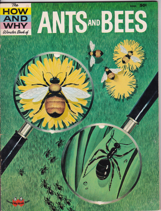 The How and Why Wonder Book of Ants and Bees (1962)