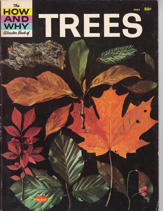 The How and Why Wonder Book of Trees (1964 Printing)